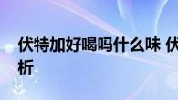 伏特加好喝吗什么味 伏特加口感与风味全解析